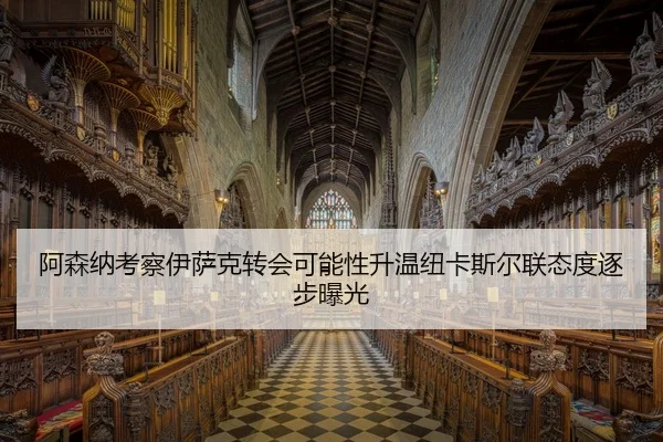 阿森纳考察伊萨克转会可能性升温纽卡斯尔联态度逐步曝光