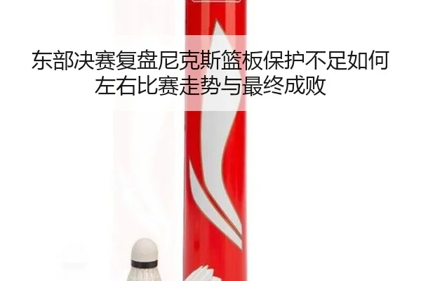 东部决赛复盘尼克斯篮板保护不足如何左右比赛走势与最终成败